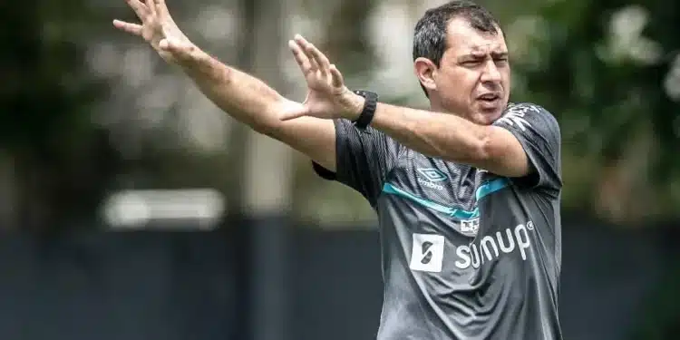 Foto: Ivan Storti/Santos FC