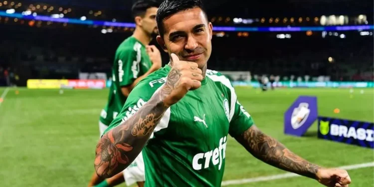 Foto: Divulgação / Palmeiras