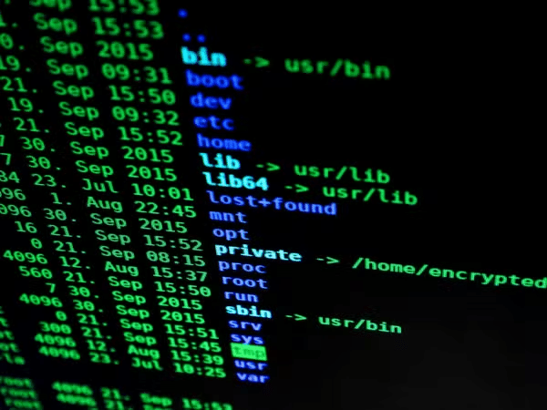 RockYou2024 é uma lista hacker que supostamente inclui quase 10 bilhões de senhas de vários serviços online — Foto: Pexels