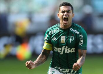 Foto: César Greco/Ag.Palmeiras/Divulgação