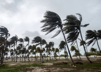 HUGO BORGES / AFP