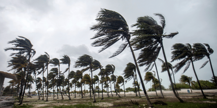 HUGO BORGES / AFP