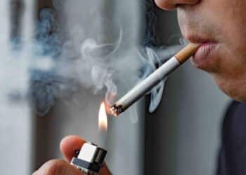 Imagem: Nopphon_1987/Shutterstock