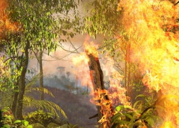 Amazon rainforest burning, on fire, out of control, enhancing climate change, 3d render painting,