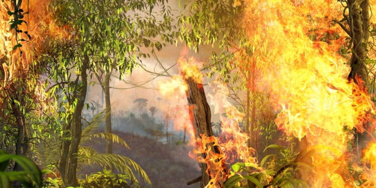 Amazon rainforest burning, on fire, out of control, enhancing climate change, 3d render painting,