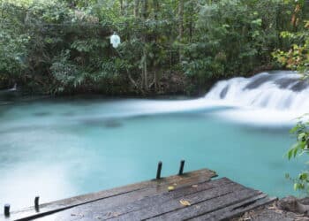 Créditos: depositphotos.com / pedromoraesphotos