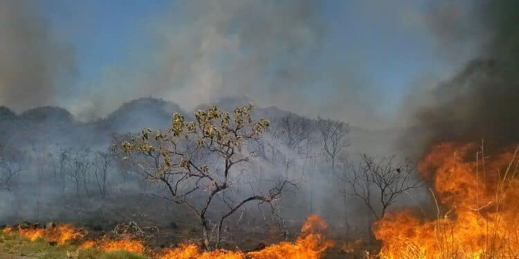 Foto: Jose Cruz/Agência Brasil