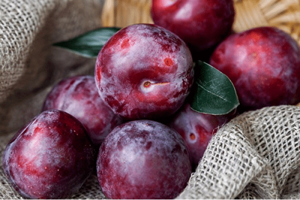 Fruta surpreendente raramente consumida pode regular sua pressão arterial