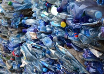 Créditos: depositphotos.com / ibogdan