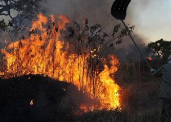 © Arquivo/Valter Campanato/Agência Brasil