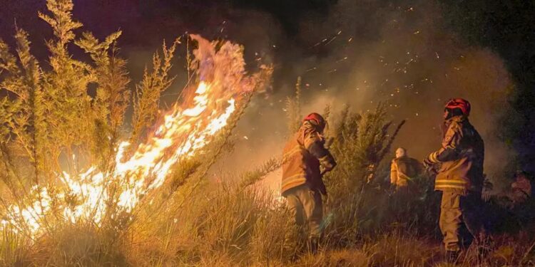 © Corpo de Bombeiros RJ/Divulgação