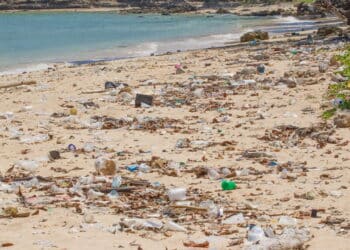 Dirty beach on the island of Little Andaman in the Indian Ocean littered with plastic.