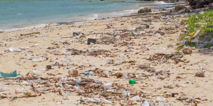 Dirty beach on the island of Little Andaman in the Indian Ocean littered with plastic.