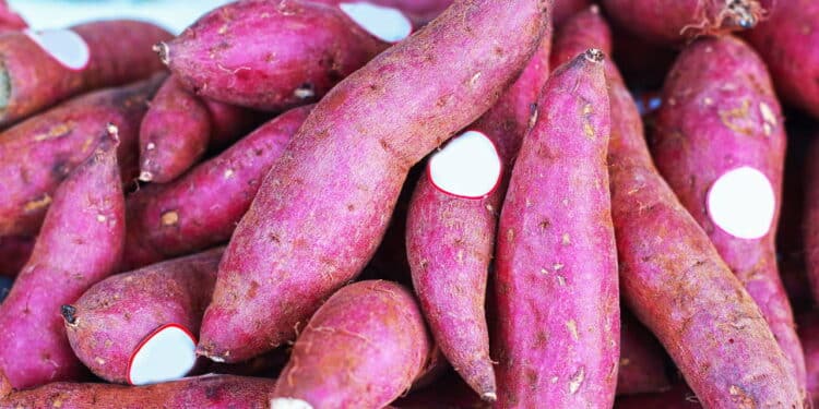 Sweet potato in the market