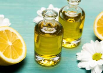 Créditos: depositphotos.com / VikaKhalabuzar