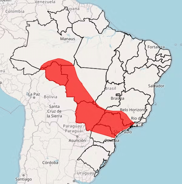 Brasil enfrenta calor extremo com máximas acima de 40°C; confira lista com as capitais mais quentes