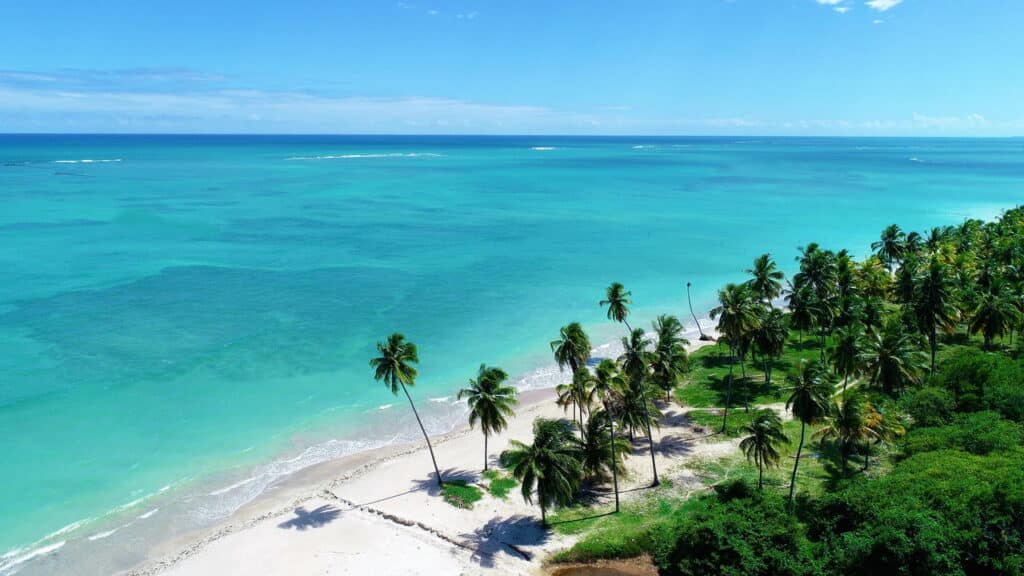 Conheça as 5 praias do Nordeste com prestigiado selo internacional de proteção ambiental; veja lista