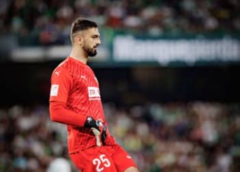 Créditos: depositphotos.com / mrogowski_photography