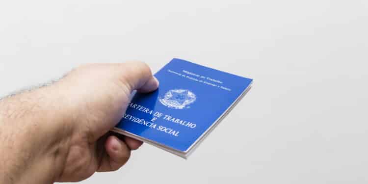 hands of middle-aged man holding work book, Brazilian social security document