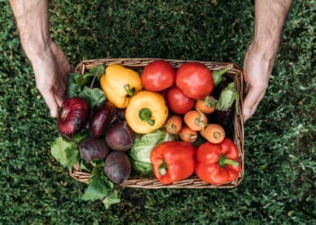 Empresas poderão deduzir até 5% do IRPJ com doação de alimentos!