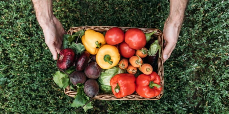 Empresas poderão deduzir até 5% do IRPJ com doação de alimentos!