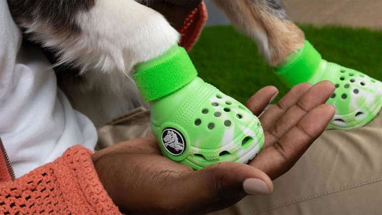 (Foto: Reprodução/Crocs)