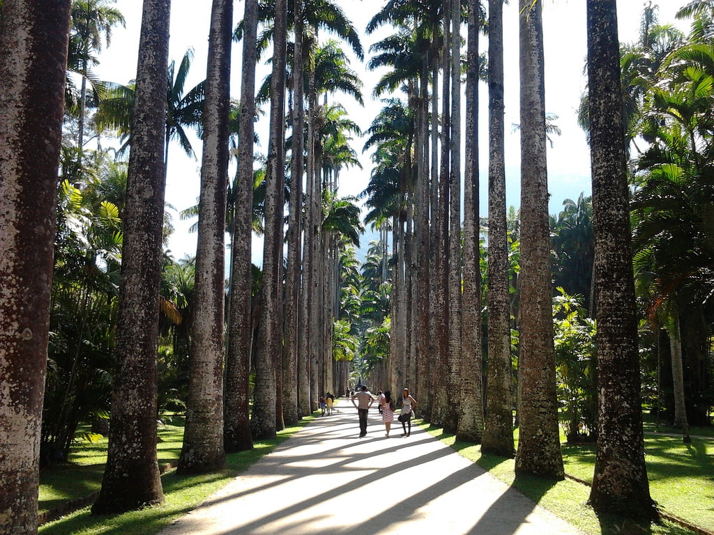 Rio de Janeiro: conheça 5 lugares imperdíveis fotos incríveis no seu feed