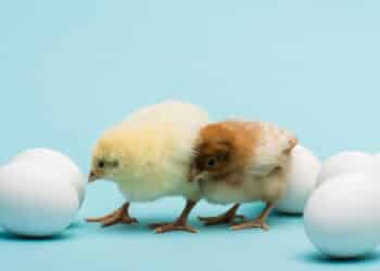 Créditos: depositphotos.com / VitalikRadko