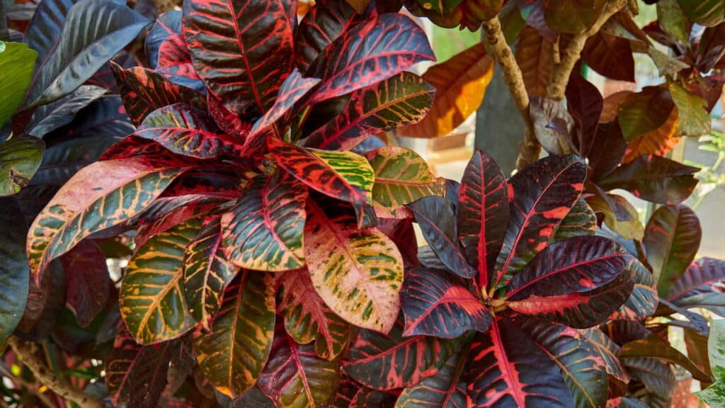 Créditos: depositphotos.com / Iryna_L