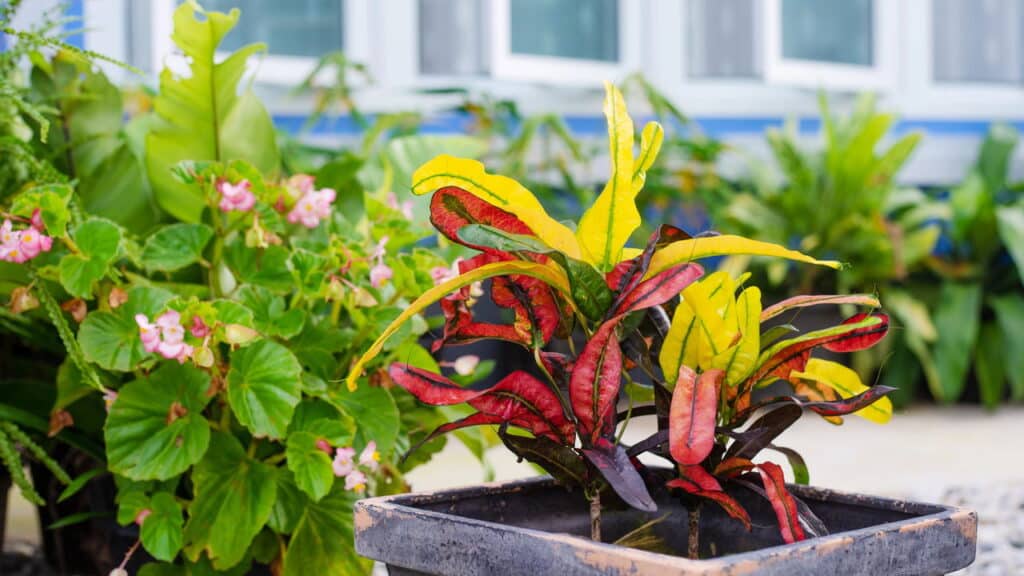 Créditos: depositphotos.com / pritsadee