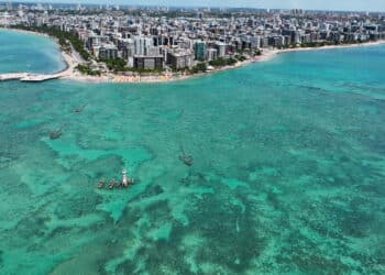 Créditos: depositphotos.com / Cristian_Lourenco