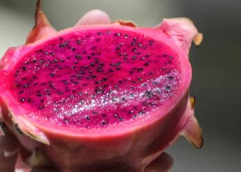 Pitaya - Créditos: depositphotos.com / vbacarin