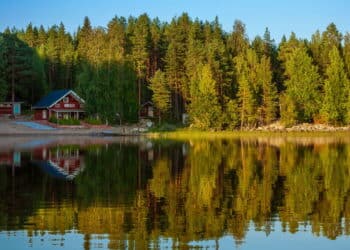 Forest reflecting on calm lake shore, Finland