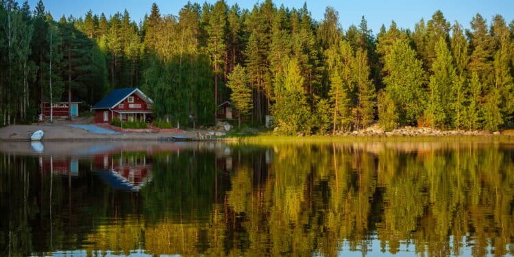 Forest reflecting on calm lake shore, Finland