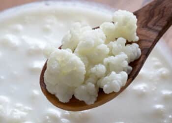 Kefir de leite - Créditos: depositphotos.com / MadeleineSteinbach