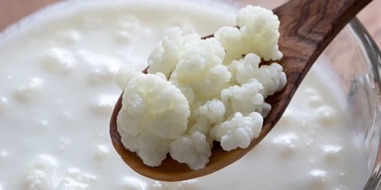 Kefir de leite - Créditos: depositphotos.com / MadeleineSteinbach