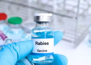 Rabies vaccine in a vial, immunization and treatment of infection, vaccine used for disease prevention