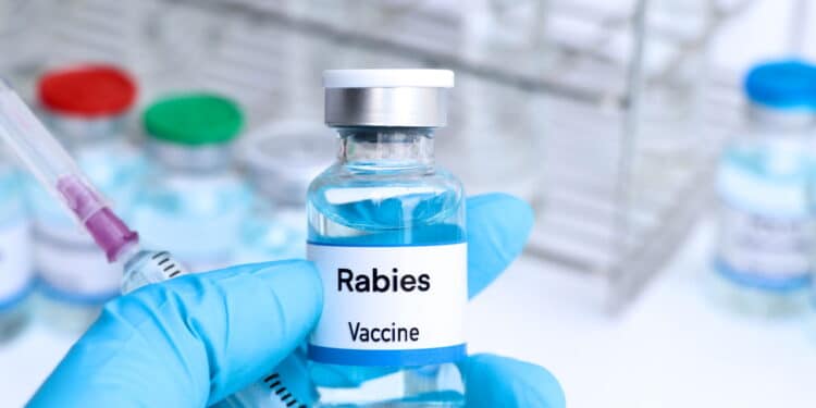 Rabies vaccine in a vial, immunization and treatment of infection, vaccine used for disease prevention