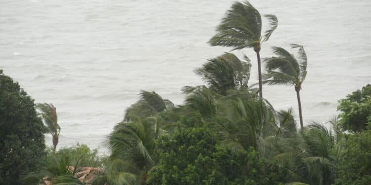 Alerta! Chuvas intensas continuam e ameaçam quase todo o país; veja previsão