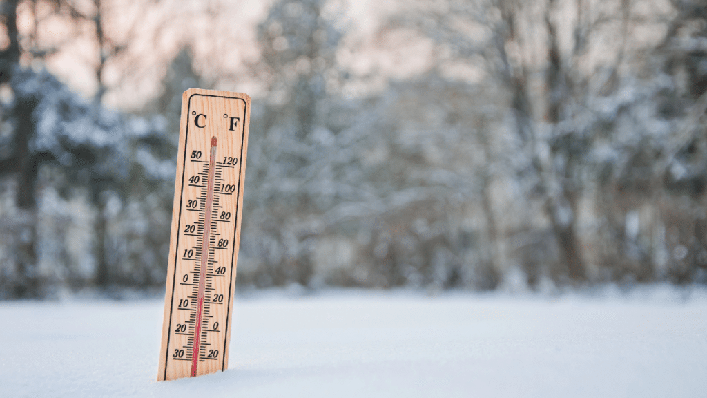 Paraná se prepara para o dia mais frio do ano: -2°C e geada já têm data marcada; veja previsão