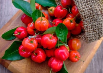 Acerola - Créditos: depositphotos.com / gukguithammasorn.gmail.com