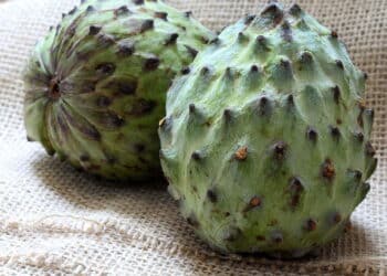 Atemoia exotic fruit, sweet and tasty