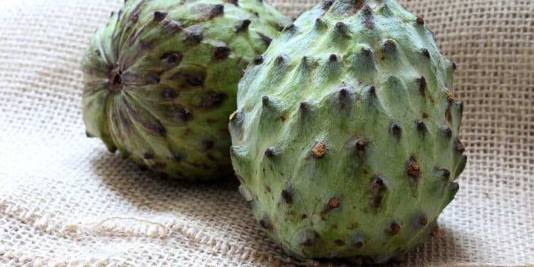 Atemoia exotic fruit, sweet and tasty