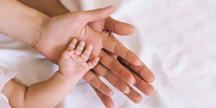 Créditos: depositphotos.com / IuliiaVerstaBO