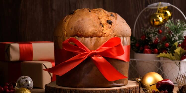 Traditional Italian Christmas Cake Panettone with red bow and festive decoration on wooden rustic background. Homemade artisan sourdough panettone is classic italian Christmas Food and Edible gift