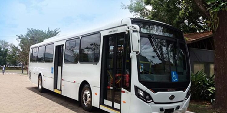 ônibus elétricos BYD - Créditos: BYD