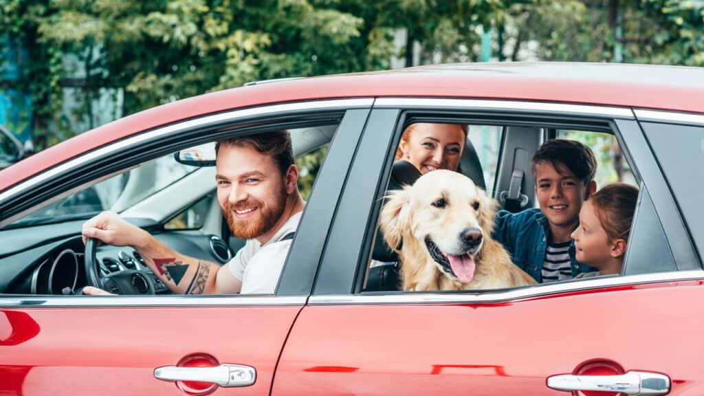 Carros de 7 lugares por menos de R$50.000? Sim, é possível!