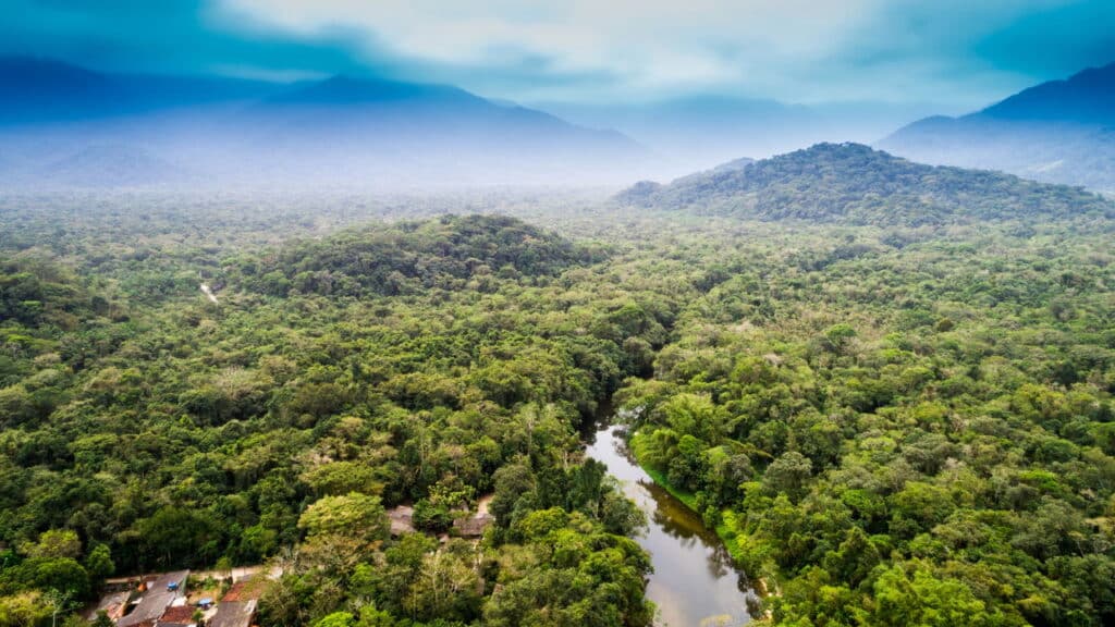 Amazonia - Créditos: depositphotos.com / gustavofrazao