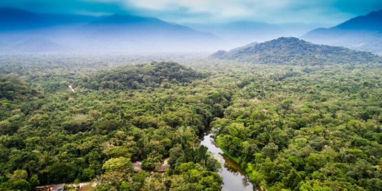 Amazonia - Créditos: depositphotos.com / gustavofrazao