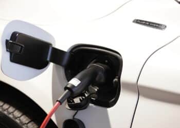 Créditos: depositphotos.com / felixtm